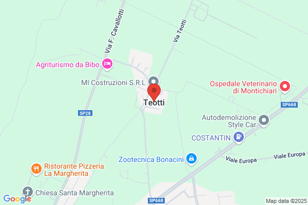 Teotti francesco