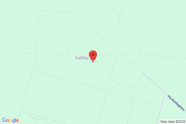 Peli luigi