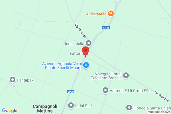 Fattori Santino