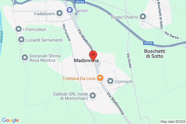 Tafer Dei Fratelli Tanzini