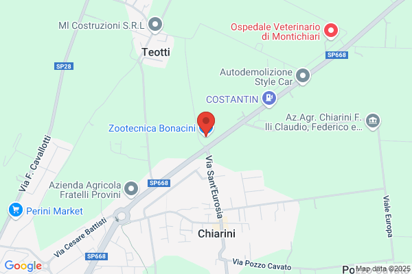 Bonacini Conforti elsa