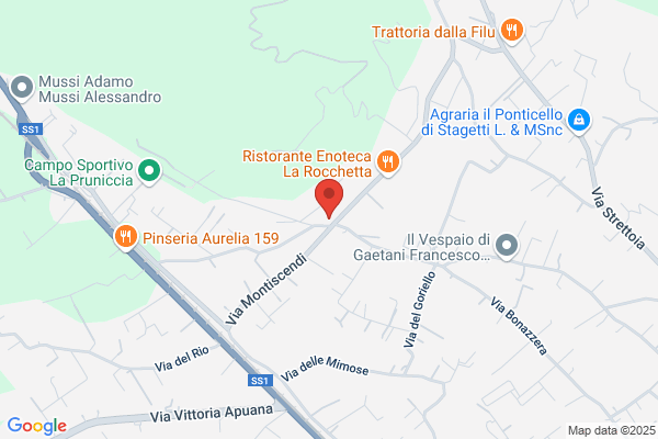 Santini Diego - Legna da ardere