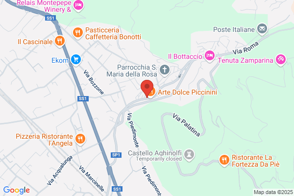 Partito Democratico Della Sinistra
