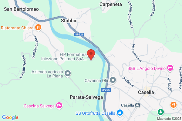 I.P.F. Industria Produzione Del Freddo (S.P.A.)