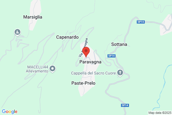 Il Pianista