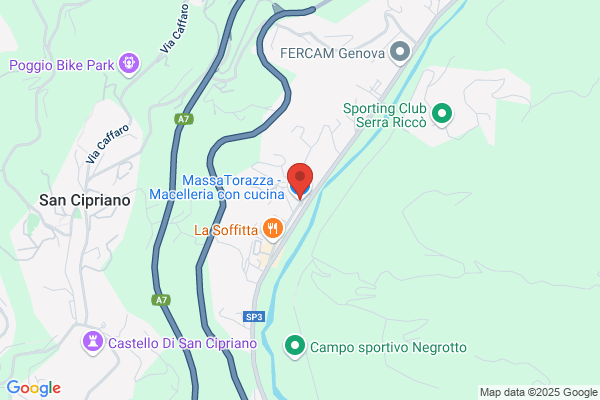 Massa salvatore