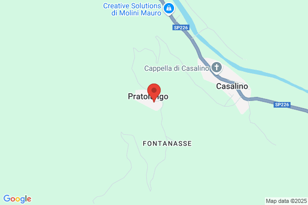 Perasso Silvano