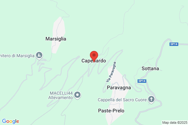 Professione Natura Sas