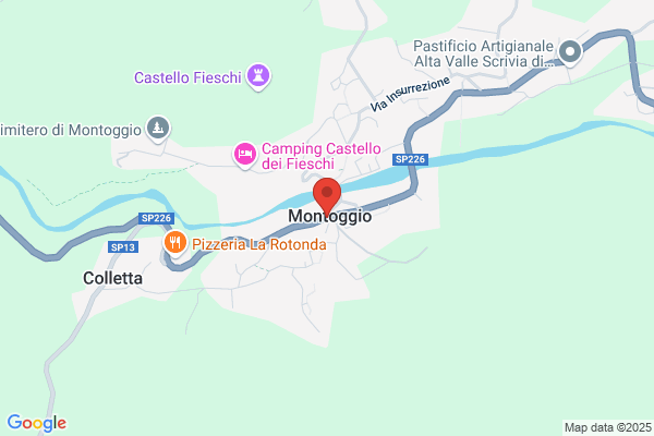 Spalla loredana (Geom.)