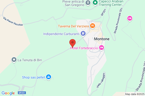Selvi Autonoleggi