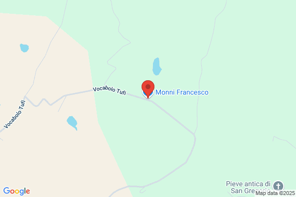 Monni francesco