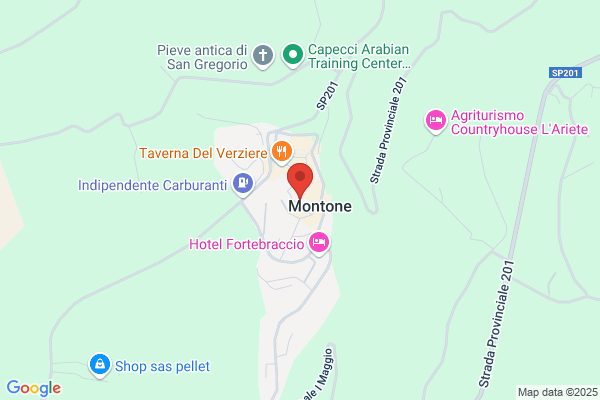 Montagnini romeo