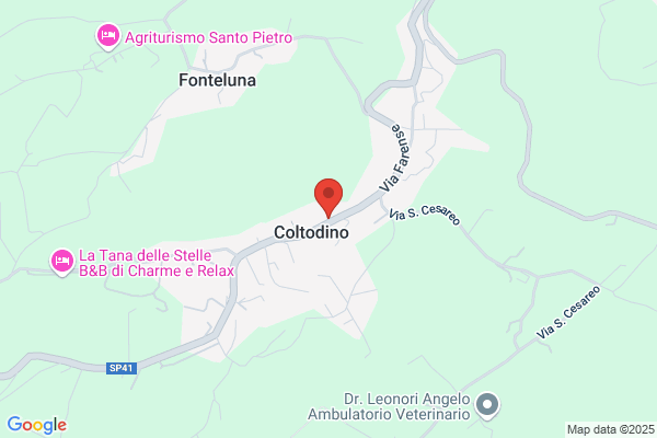 Farmacia Farense Coltodino