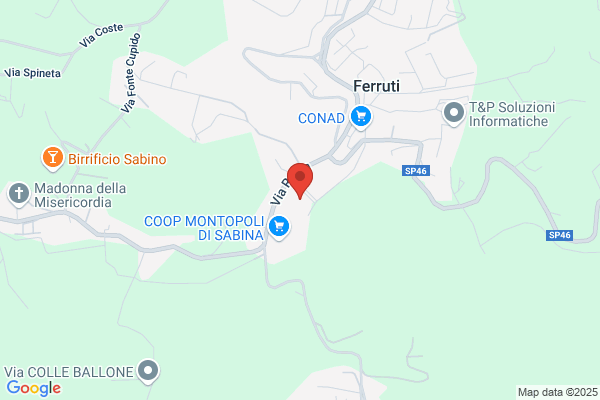 Istituto Fisioterapico S.Valentino S.R.L.