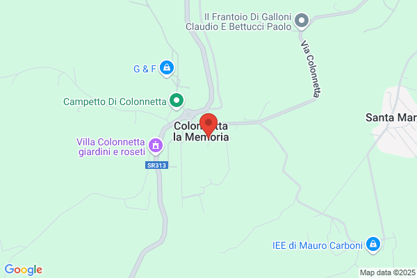 Menichelli agnese