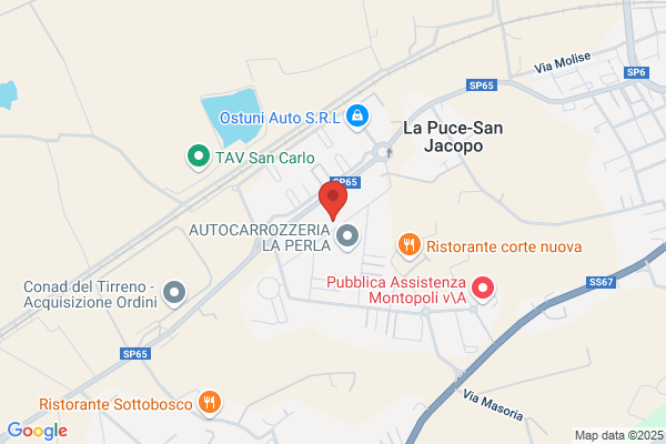 Campani Anselmo S.r.l.