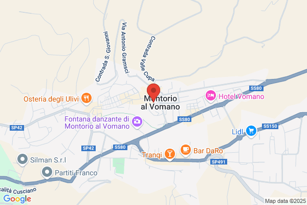 Montanari rodolfo (Rag.)