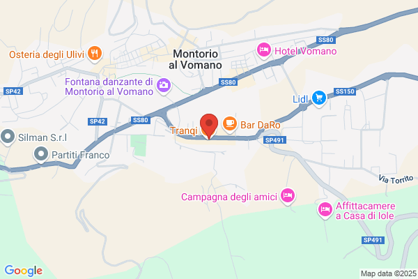 Ristorante Pizzeria La Tana