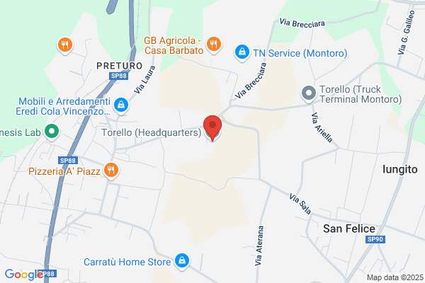 Torello Trasporti Srl