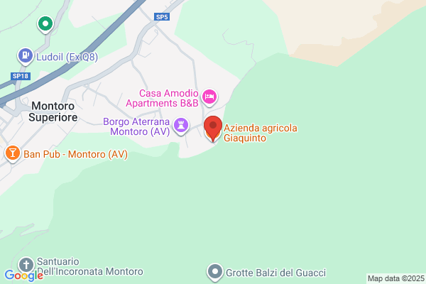 Giaquinto Michele