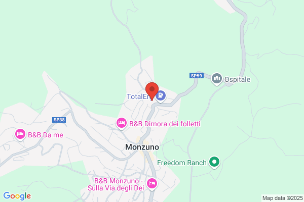 Veronesi mauro