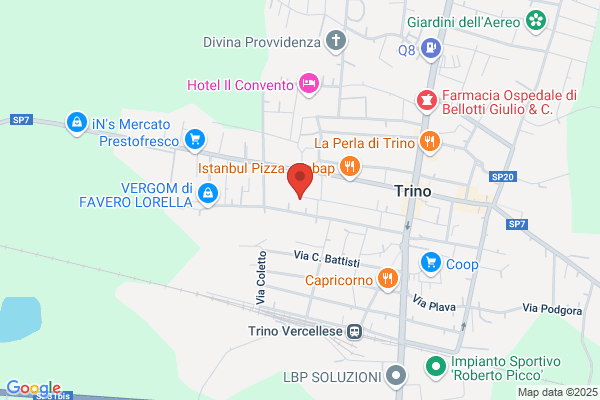 Addestramento Cinofilo 00 Setter