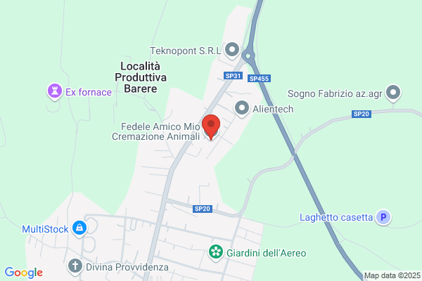 Fedele Amico Mio
