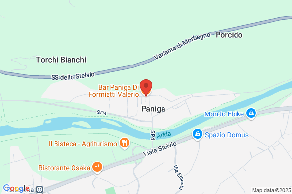 Paniga carlo