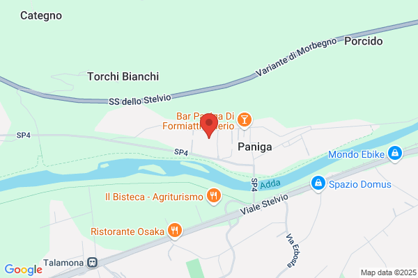 Paniga gino