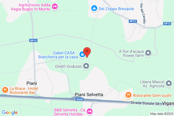 Robustelli Trasporti Spedizioni S.R.L.