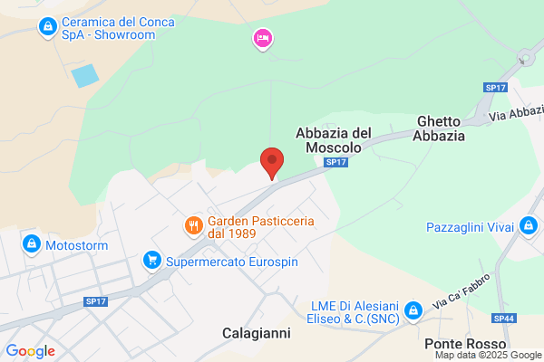 Giunchedi Gino
