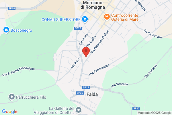 Il Delfino Assicurazione Di Zani Gabriele E c. (S.A.S.)