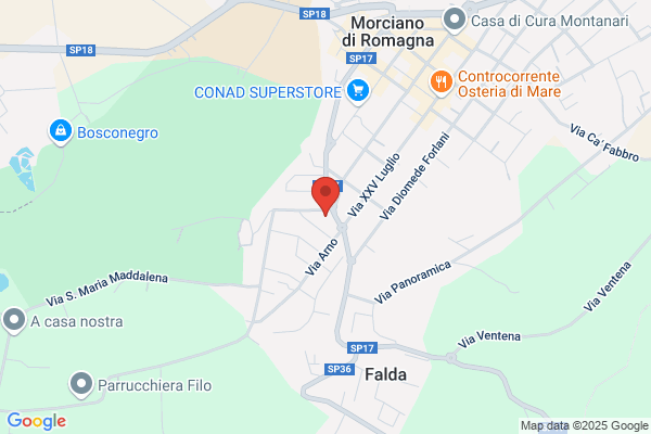 Masini patrizia
