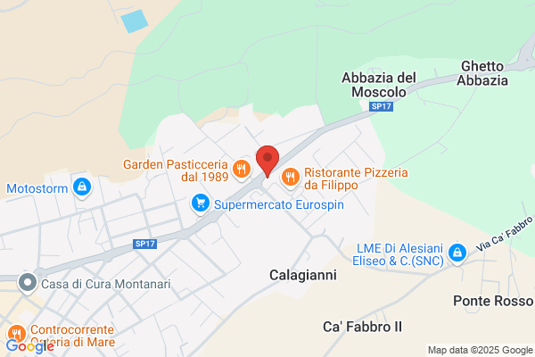 Menghi gabriele (Rag.)