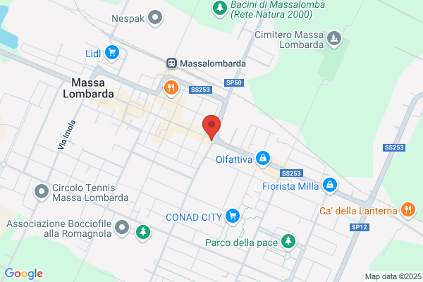 Amplifon Via della resistenza 4, Massa Lombarda