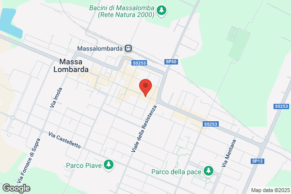 Foschini G.A. Di Foschini Gabriele E Antonio (S.N.C.)