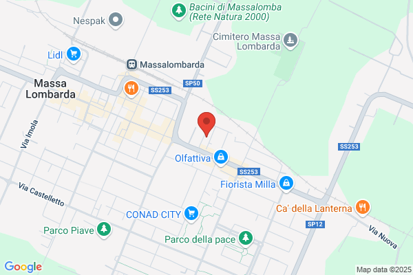 G.R. Elettronica Srl