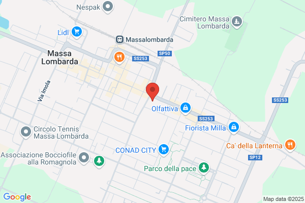 Municipio Di Massa Lombarda - Centro Giovani