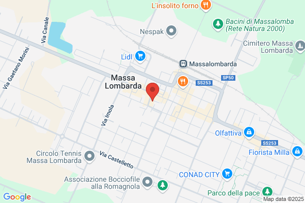 Reale Mutua Agenzia di Massa Lombarda Monti Andrea Snc