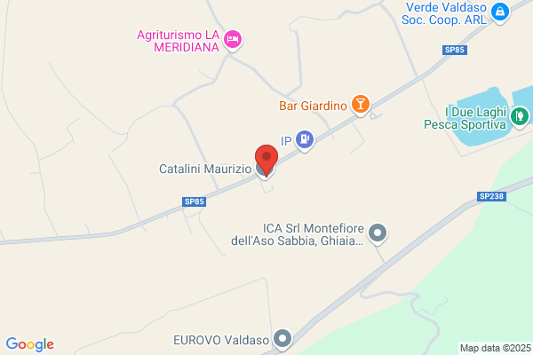 Service Specializzato Audi e Volkswagen