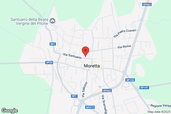 Tronci Anedda elvira