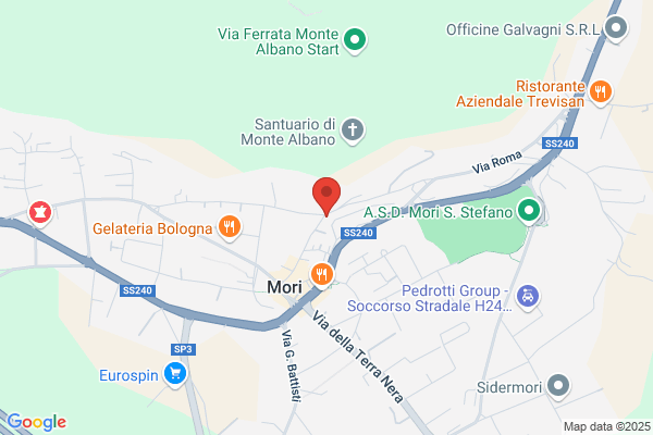 Vicenzi massimo