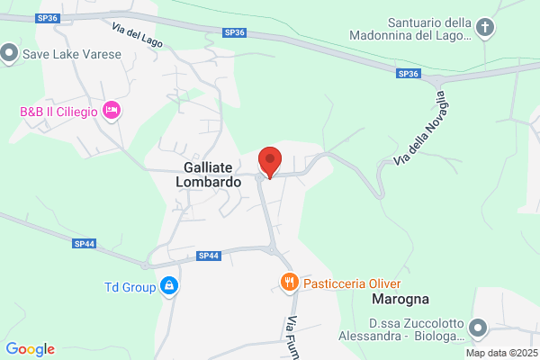 Libertà di Stile