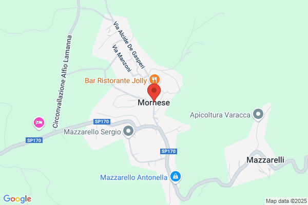 Ghio Simone Videoispezioni
