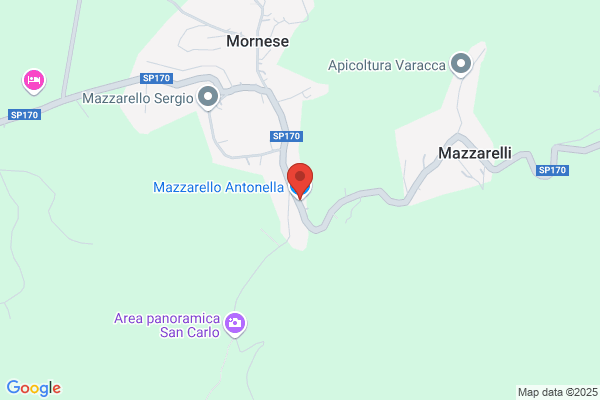 Mazzarello antonella