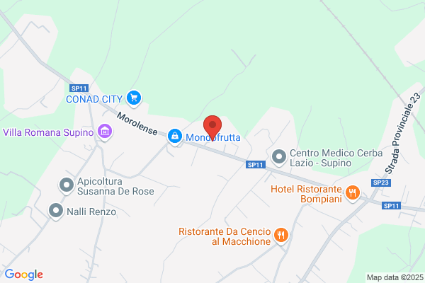 Autocarrozzeria di d'alessandris roberto