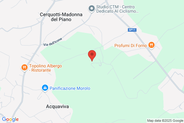 Ristorante Da Ninetto Al Boschetto Di Fabrizi maria salome