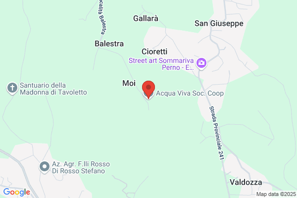 Acqua Viva Soc. Coop.