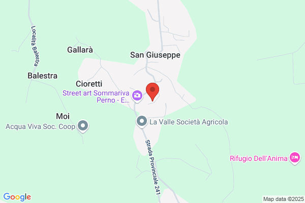 Dellavalle e Reviglio Scavi