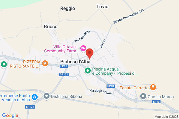 Lector in Tabula